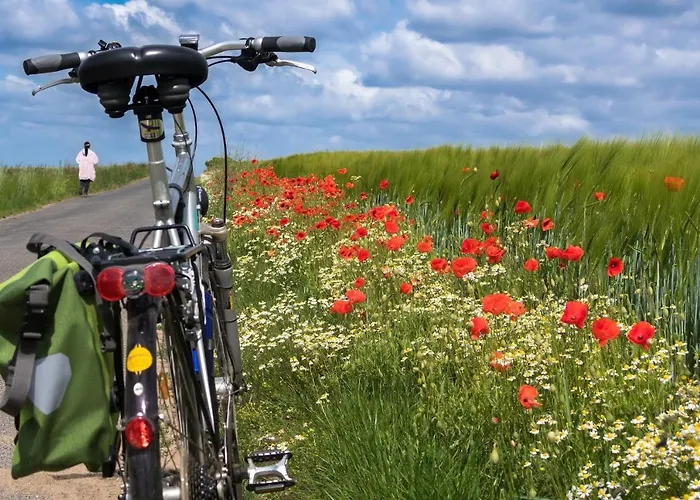 Wunderschoene * Brandenburg (Brandenburg an der Havel)